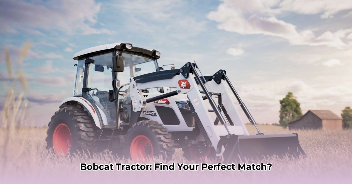 bobcats-tractors